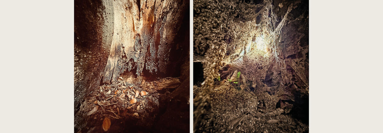 Atrium Sacrum__06.jpg